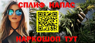 гашик Нальчик
