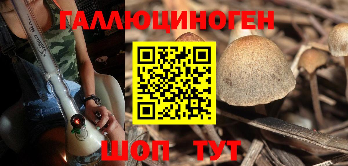 Псилоцибиновые грибы GOLDEN TEACHER  Псилоцибиновые грибы ЛСД  Сыктывкар  Вход с VPN 